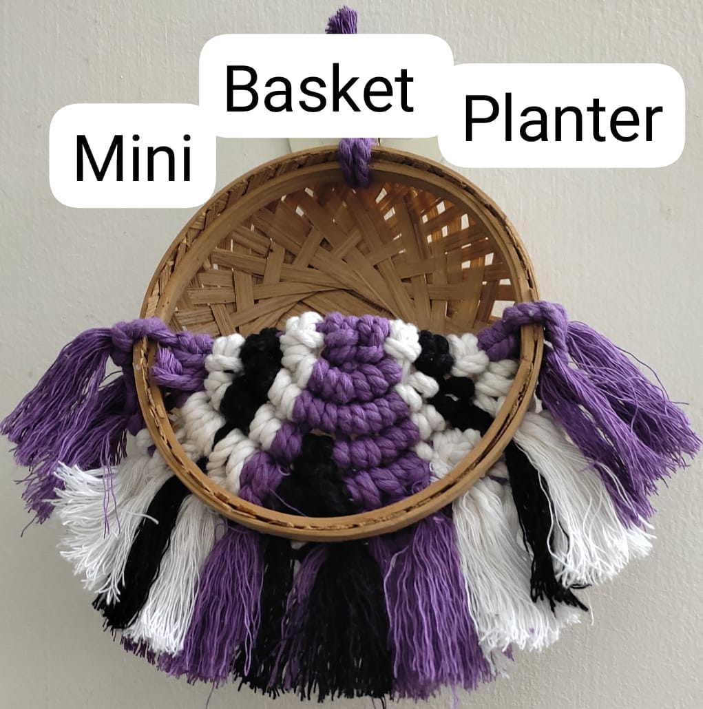 Mini Basket Planter